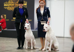 Maya & Korwin Pakhra Magnifika