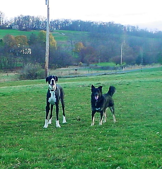DSC00004.JPG