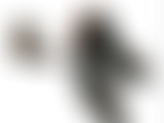 Perfect Autumn ankle boots