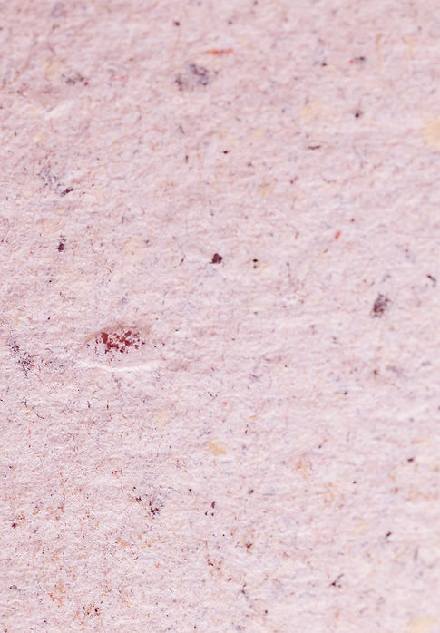Seed Paper_edited.jpg