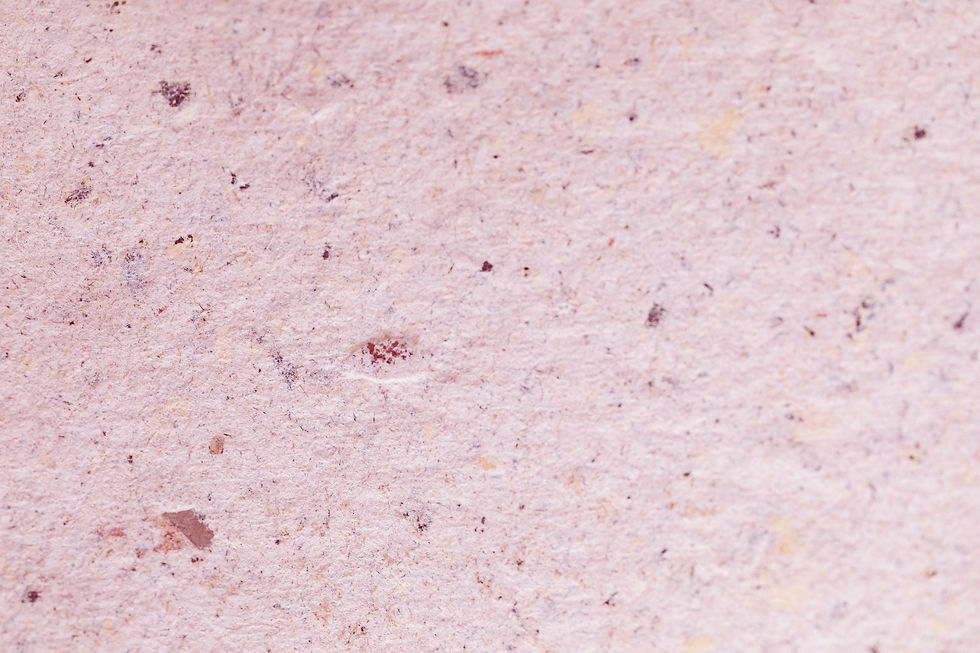 Seed Paper_edited.jpg