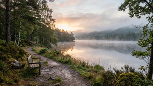 Finding Calm Amid Life’s Interruptions