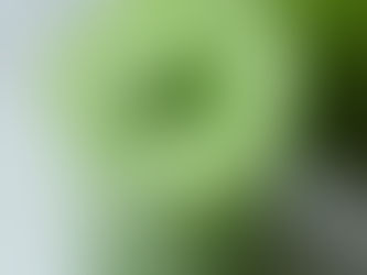 Matcha: Japon Çay Geleneğinin Yeşil Mücevheri