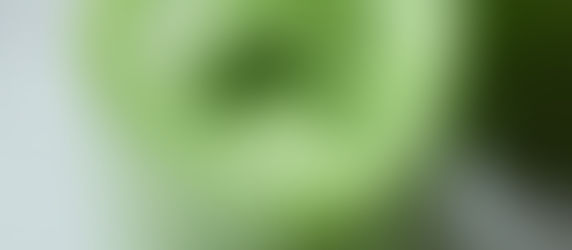 Matcha: Japon Çay Geleneğinin Yeşil Mücevheri