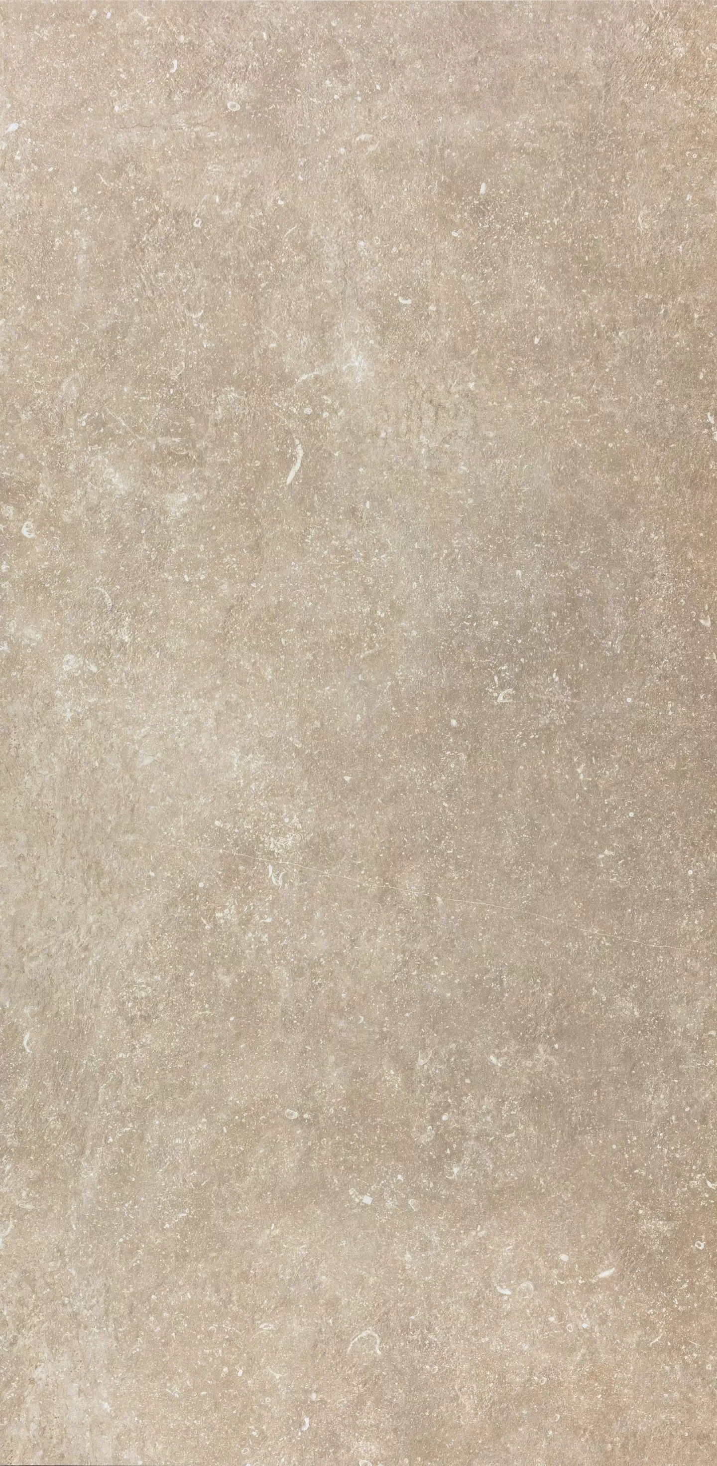 flat aurore.webp