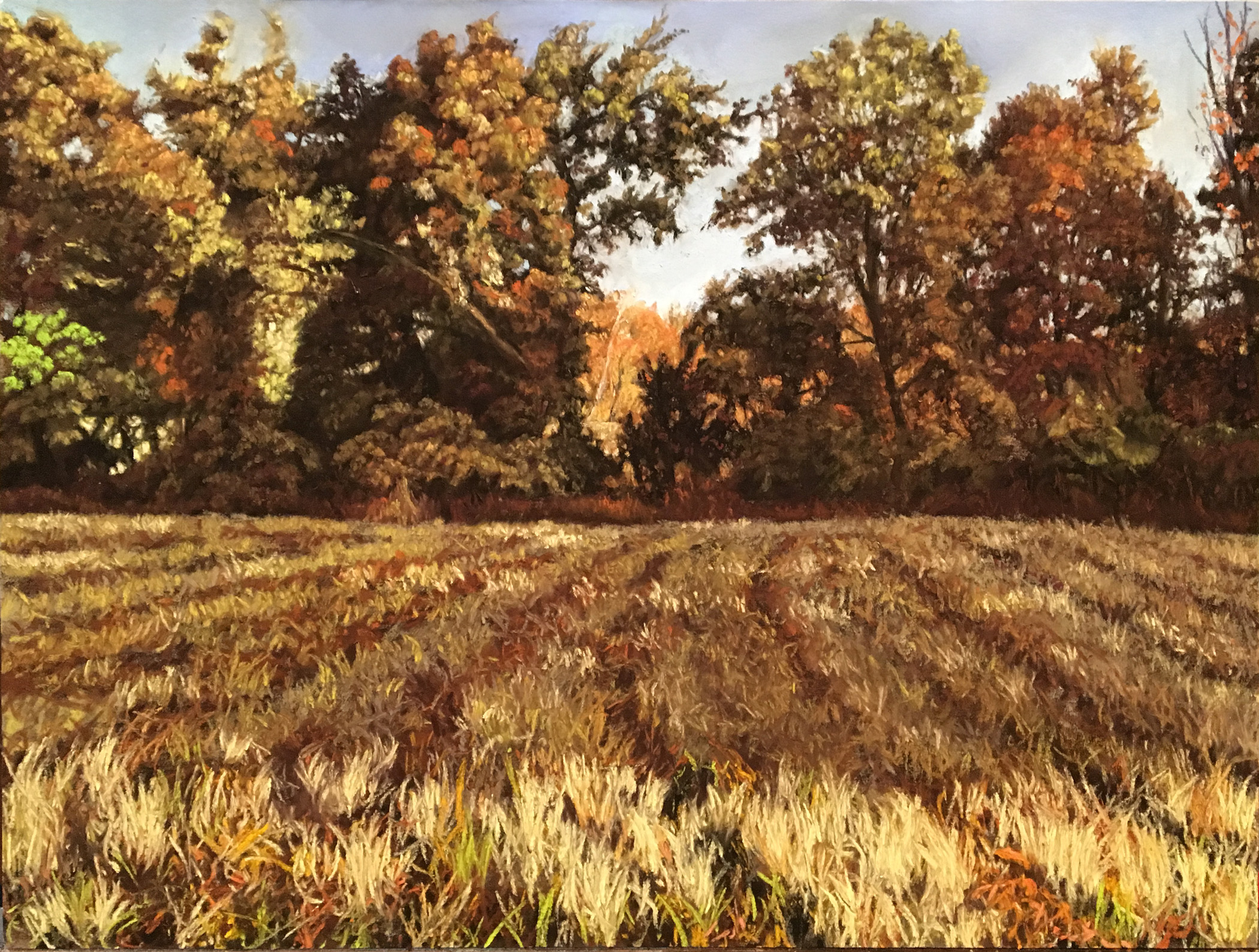 Rock Hill East Meadow Sunrise