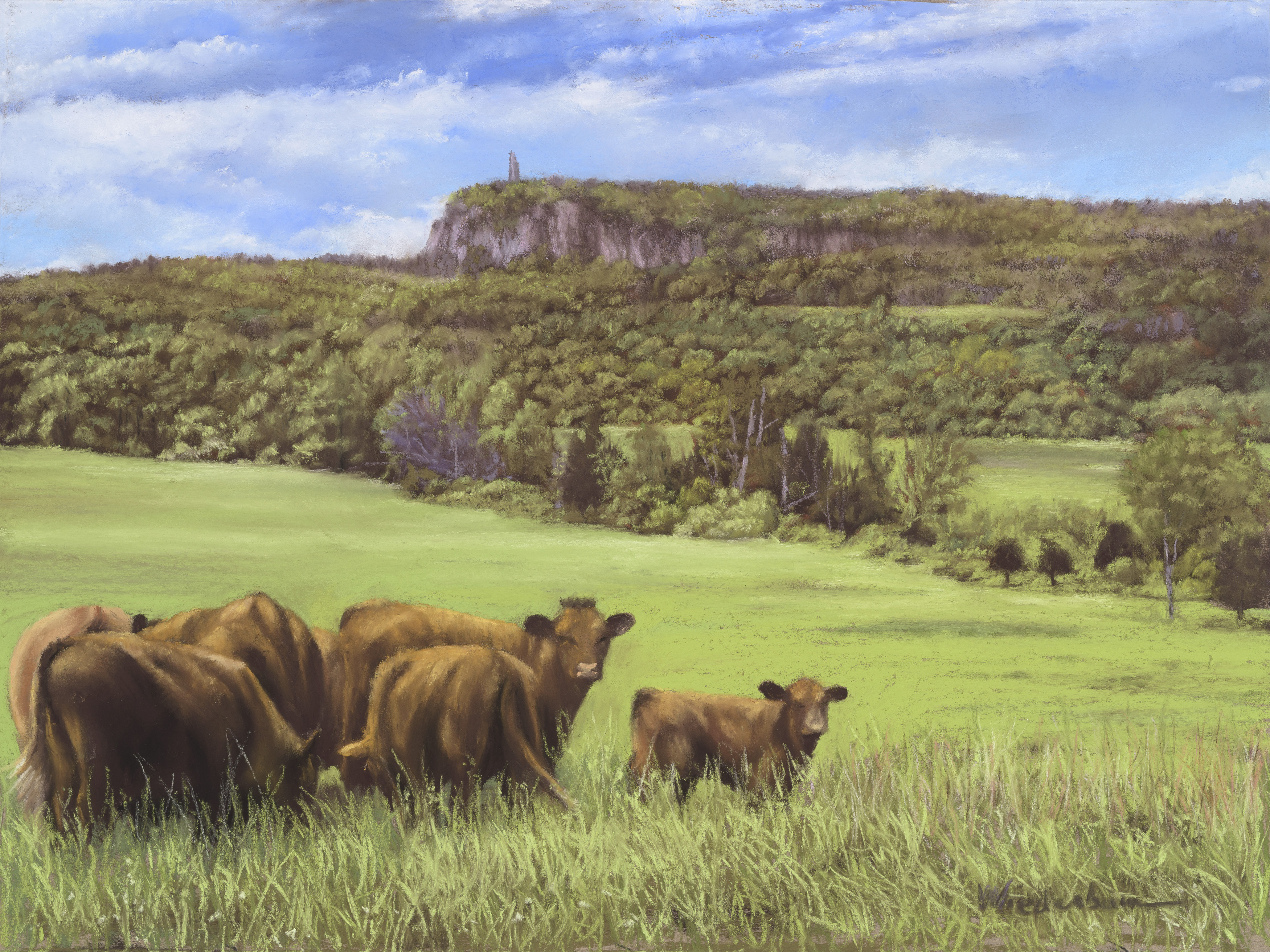 Butterville Cows and Tower