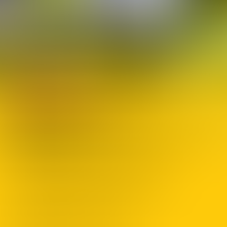 Infoabend, E-Gemeindebus in Egelsee