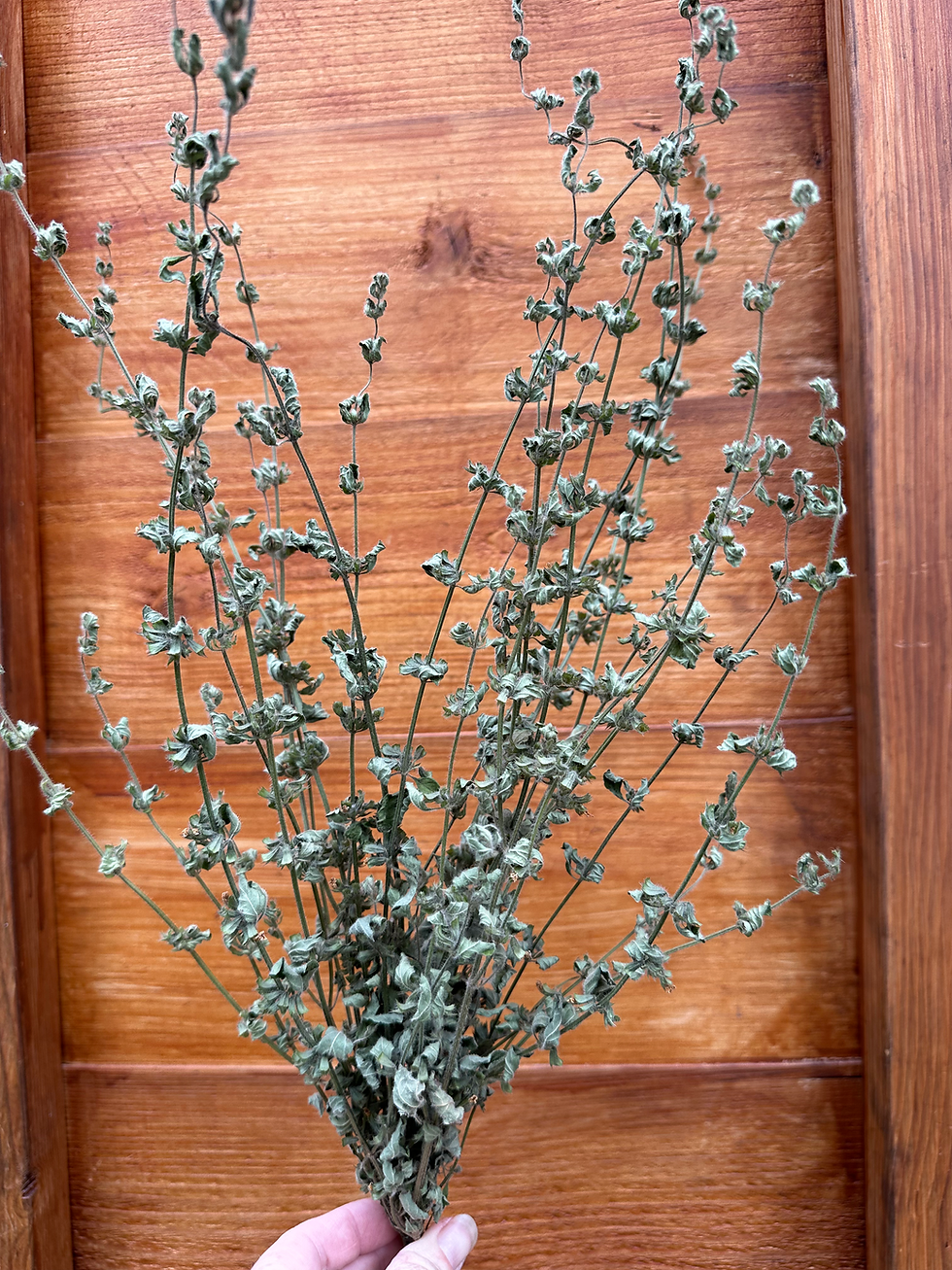 Thumbnail: Dried Flower Kit