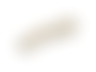 Bridge dentaire zircone