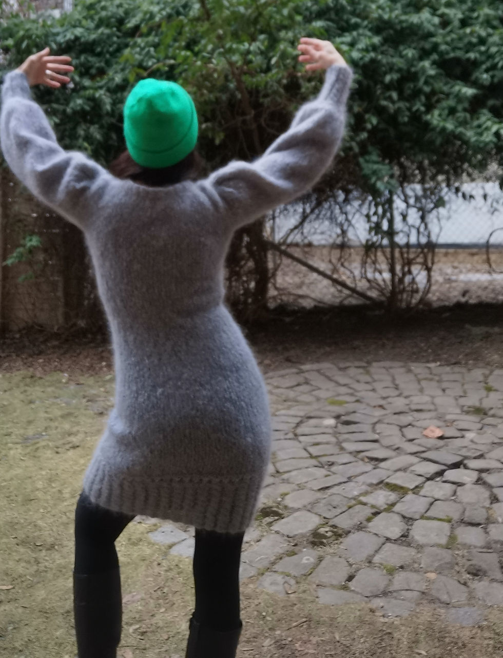 Miniatyrbilde: Sølvstjerne (xs)