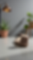 Miniatyrbilde: Soft UGGs PDF