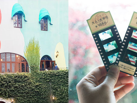 Studio ghibli מה איך ומתי