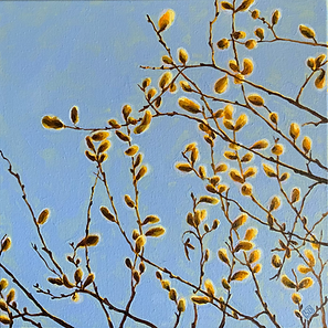 Pussy willow branches.png