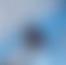 こんな所にツキノワグマのしわざ!