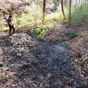 エコツアーの下見？　休耕田で保全活動‼