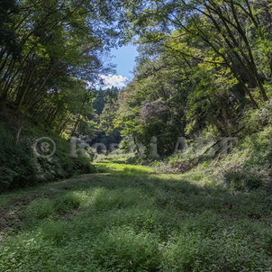 里山 Rebirth Project 始動!