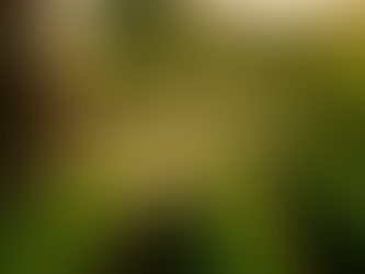 California’s PFAS Problem: How “Forever Chemicals” Quietly Ended Up on Our Food & How We Fix It