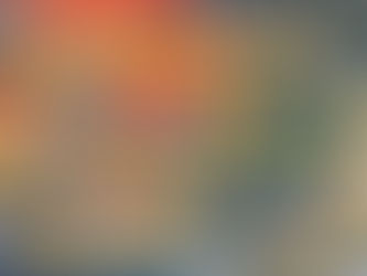 ロサンゼルス大規模火災:ハリウッドスターたちの被害と今後