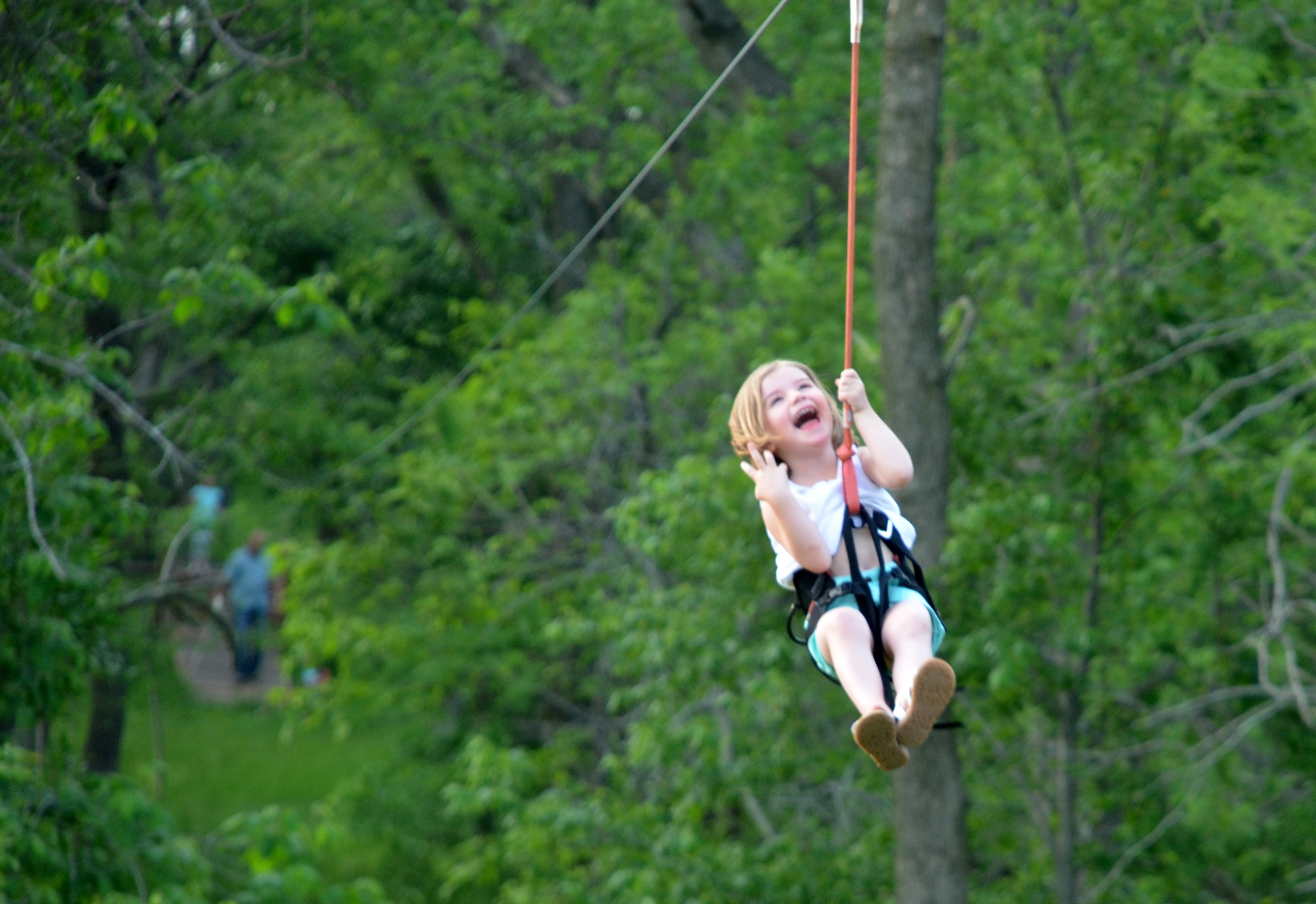 Zip Line Experience