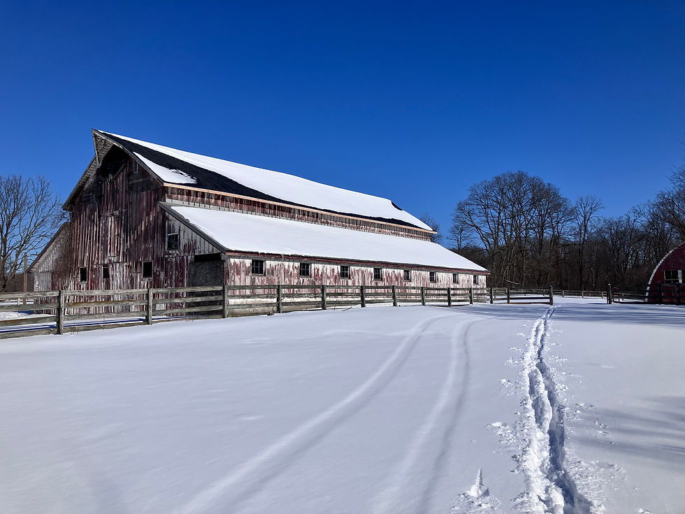 Farming legacy and memories