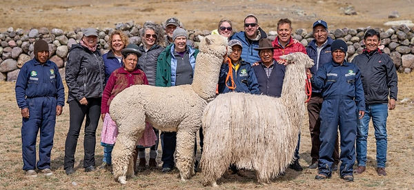 c176d62c-1265-445f-b93d-697f98dcba50 (2)