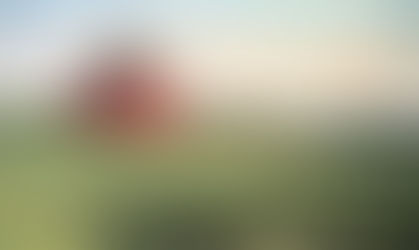 Gwen Gutwein’s Heritage Barns Project