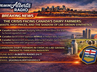 The Crisis Facing Canada's Dairy Farmers: Waste, High Prices, and the Shadow of Lab-Grown Synthetics