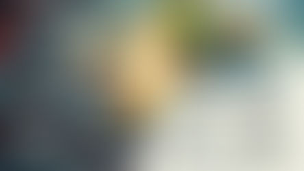 Prosperando em um mar de incertezas