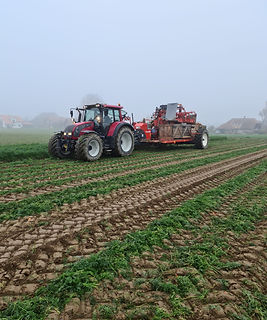 PHOTO-2020-11-10-14-44-32 (2).jpg