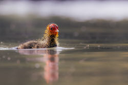 Capture d’écran 2023-10-28 à 15.37.16