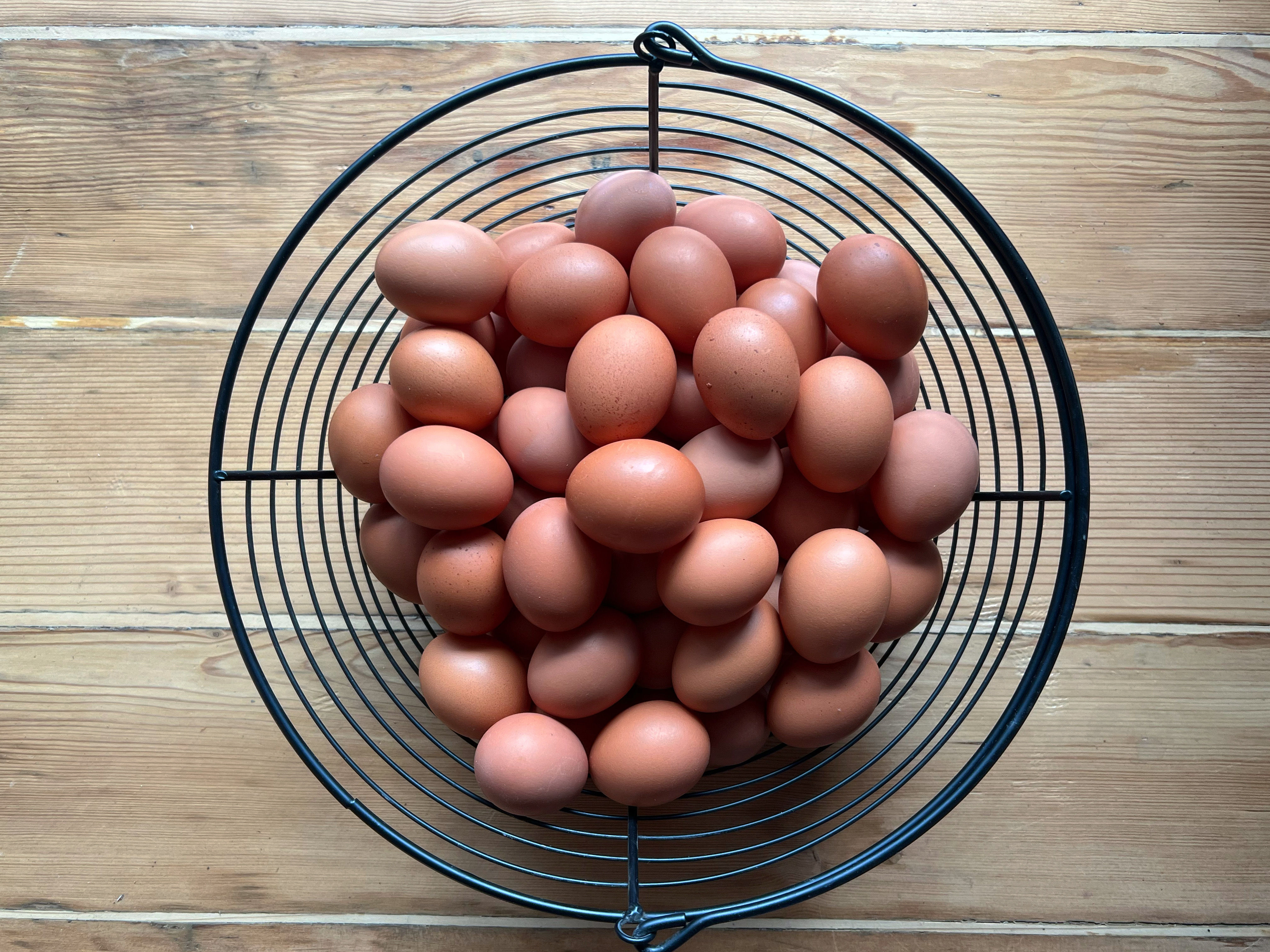 Free-Run Eggs