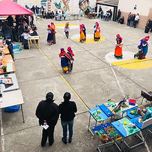 59524869_102067977690004_548669095249811