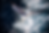 Brand Photography.png
