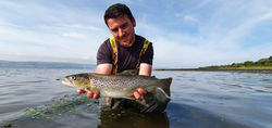 Sea trout