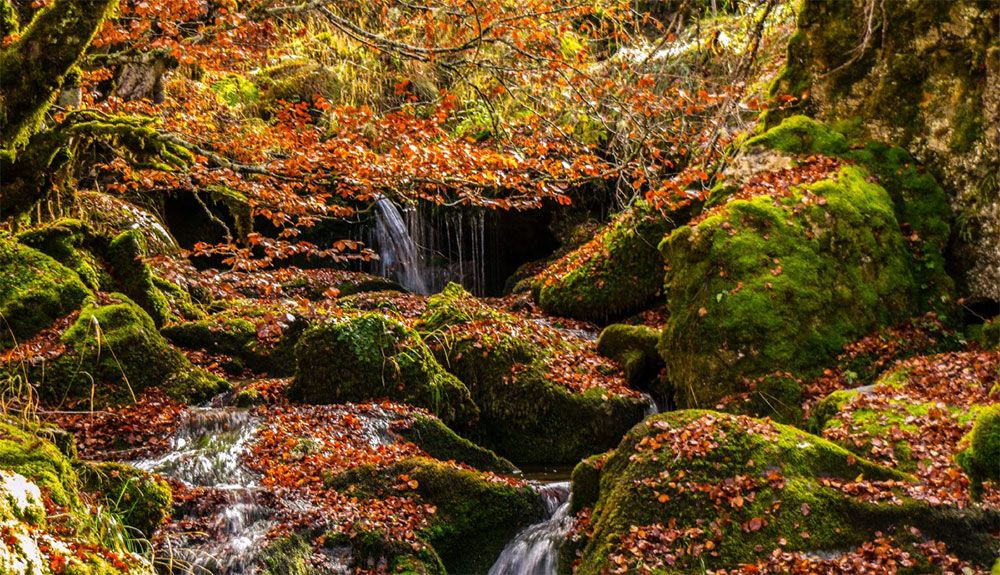 Valporquero en otoño. Fuente: Revista Oxígeno