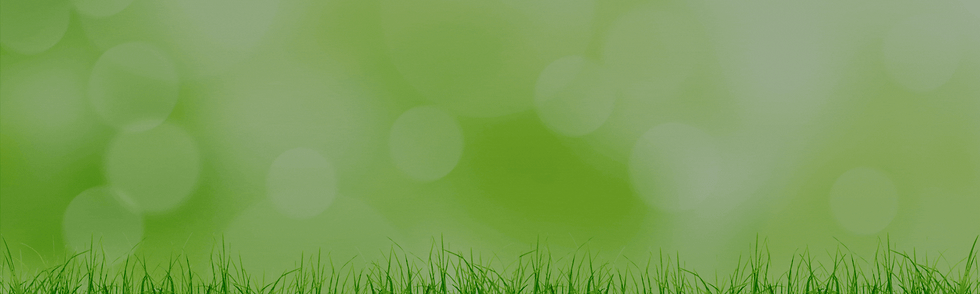 New Hs4H L Webpage Header 30 July 2026.gif