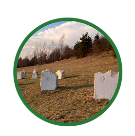 Unity Garden website_edited.png
