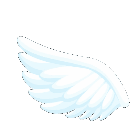 1786a3b606290f1646f2daa11024ab16.gif