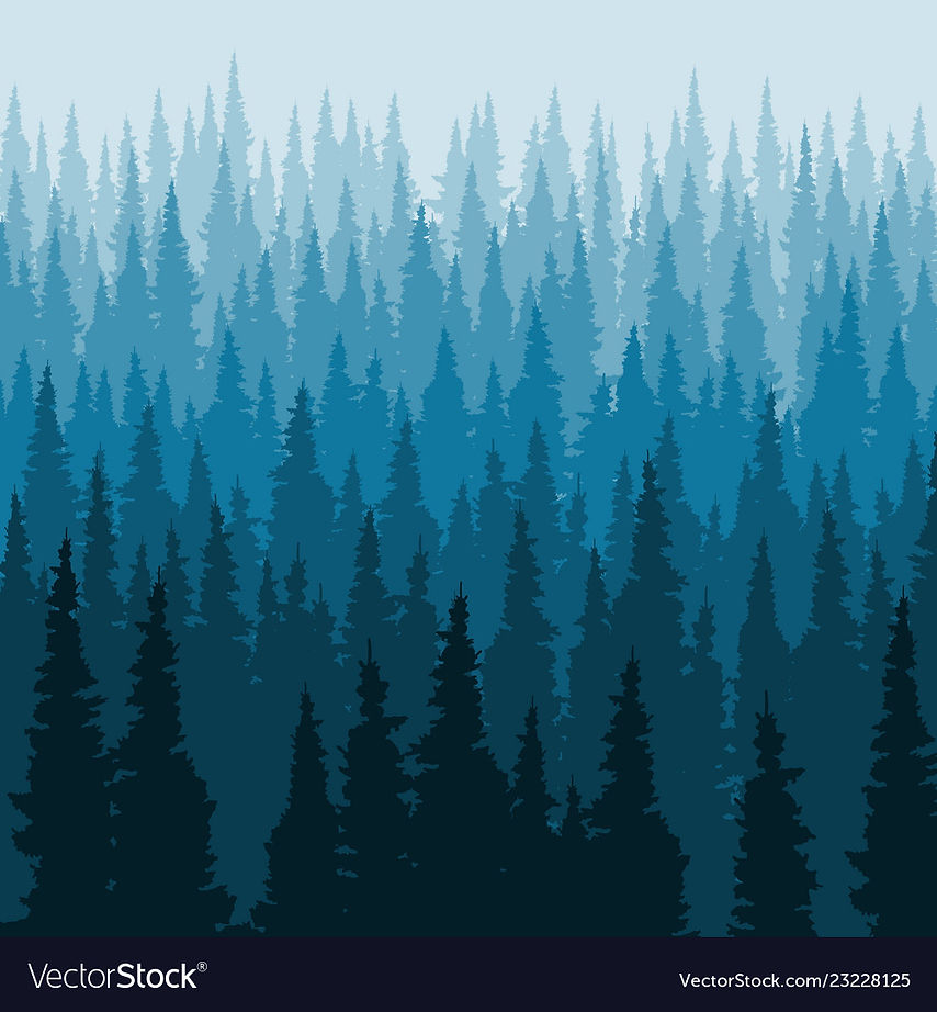 forest-background-pine-trees-silhouette-template-vector-23228125.jpg