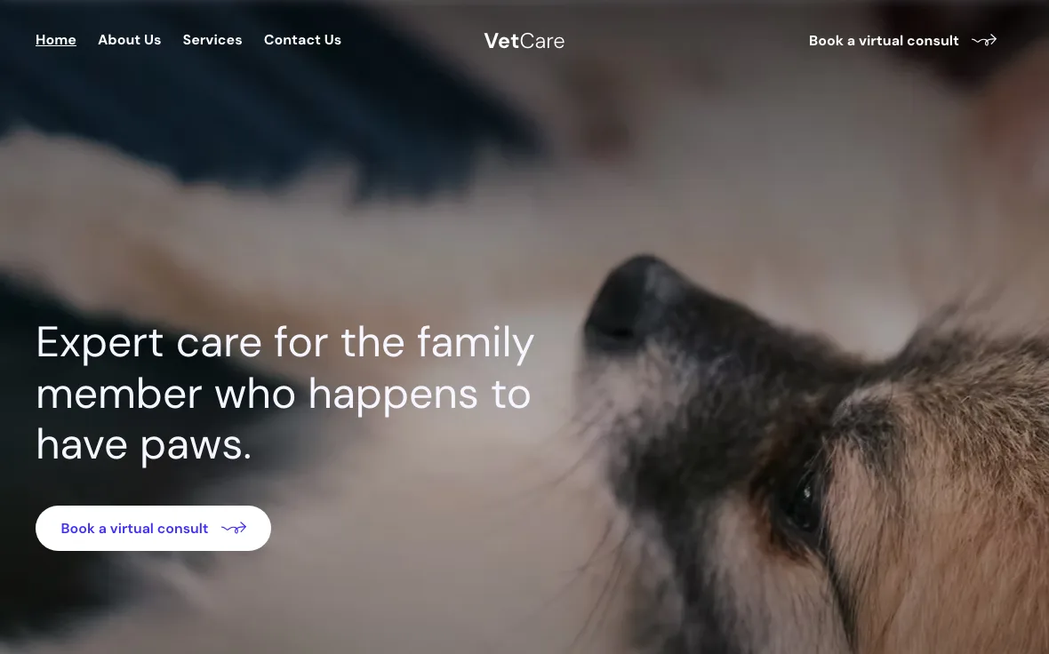 VetCare