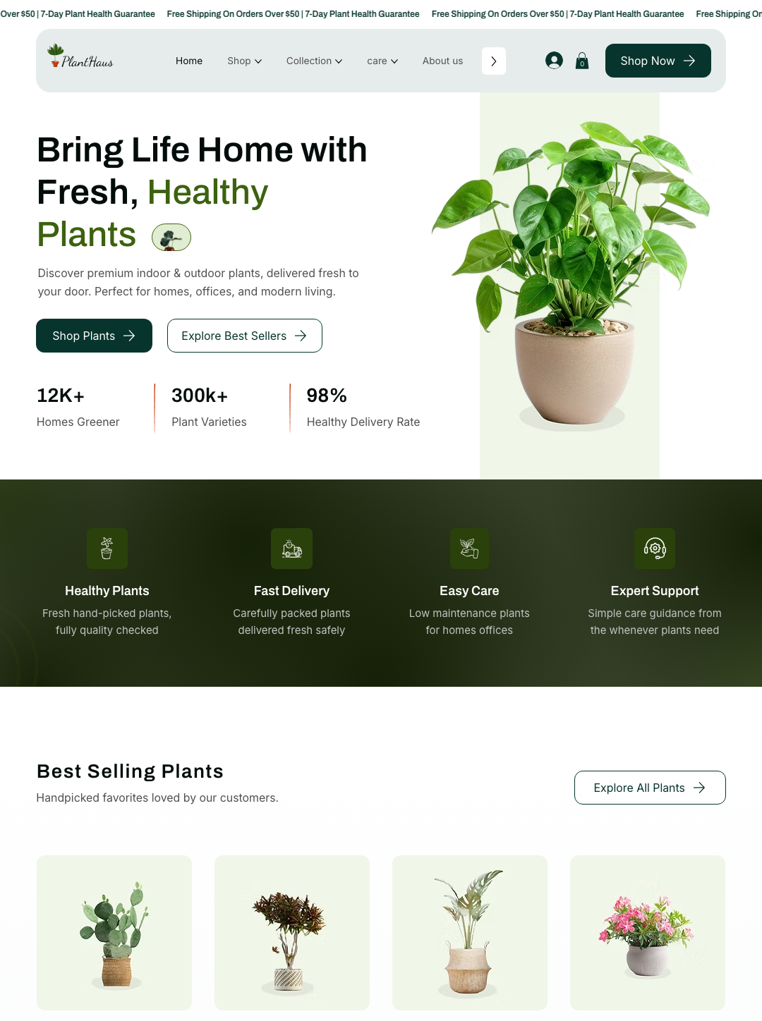 Plant Selling Store
