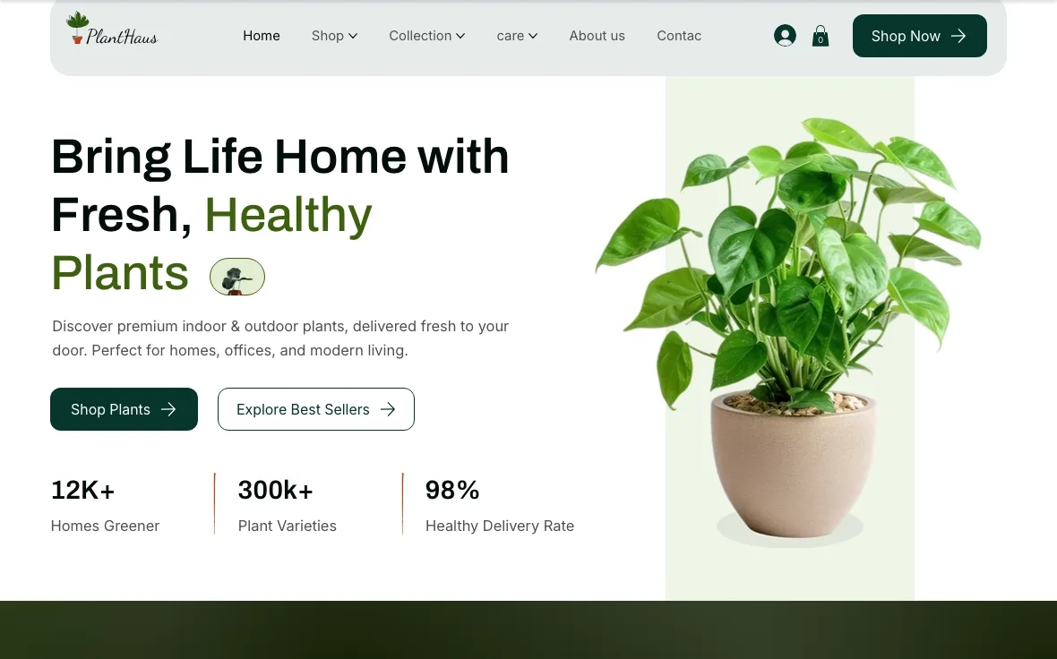 Plant Selling Store