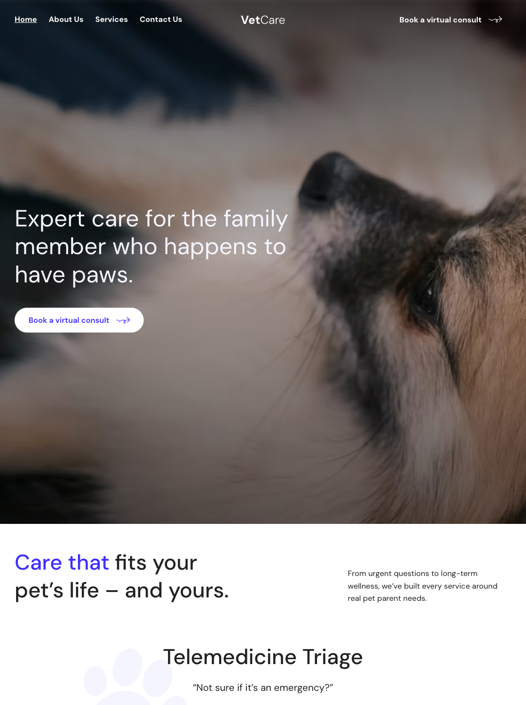 VetCare