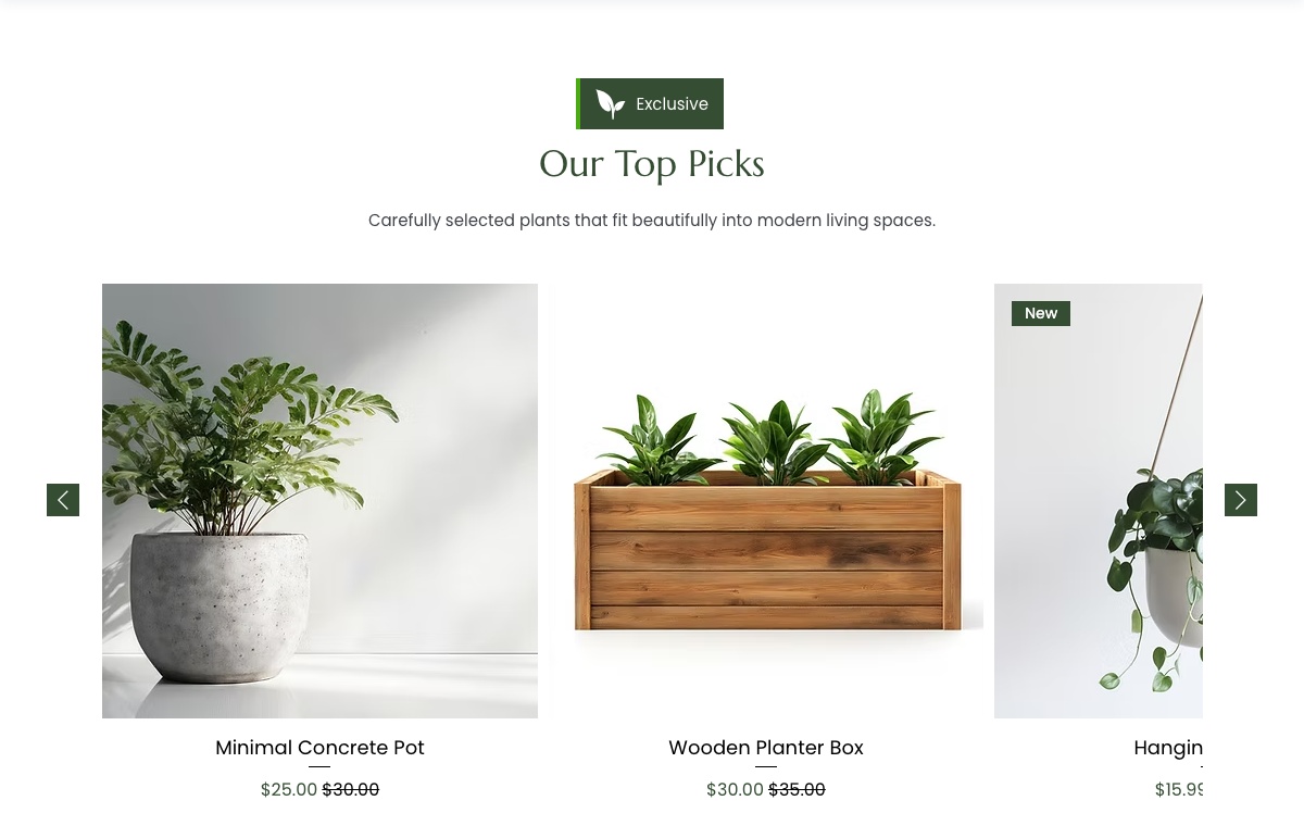 Our Top Picks
