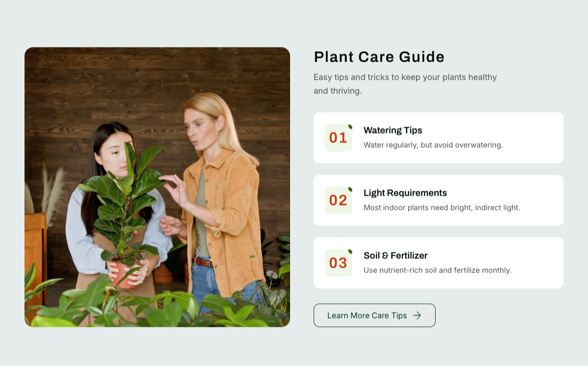 Care Guide
