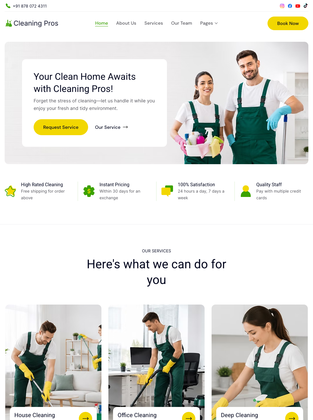 Cleaning Pros