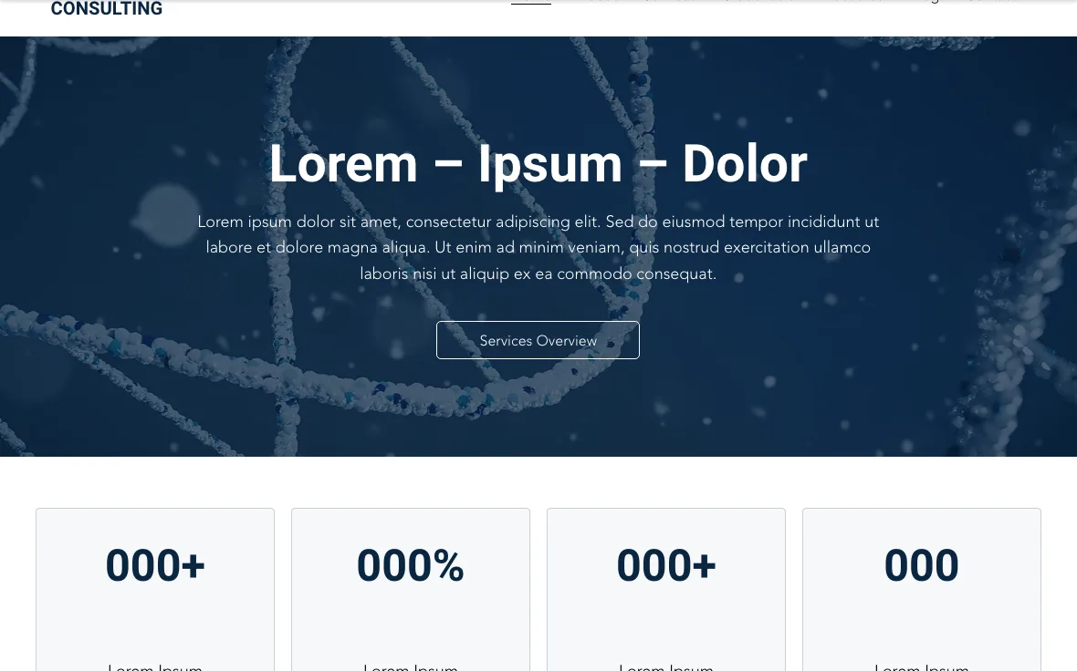 Consulting Firm