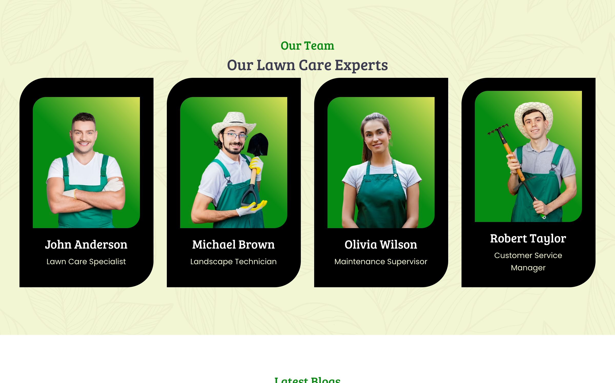 Our Team