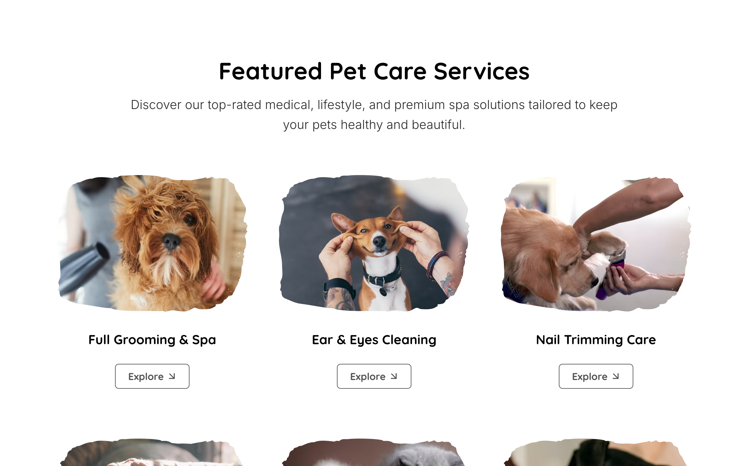 Services
